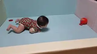 서현짱(18)