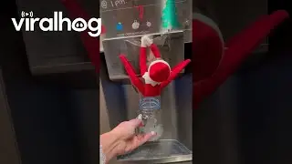 When You Let Your Kids Move the Elf on the Shelf || ViralHog