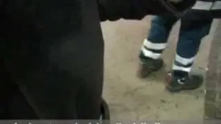 CriMilano senza fissa dimora servizio di N.Luca su Corriere.it.flv