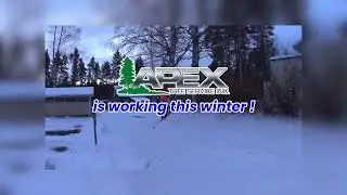 Winter Tree Removal Made Easy | Apex Tree Service | FREE Quote!
