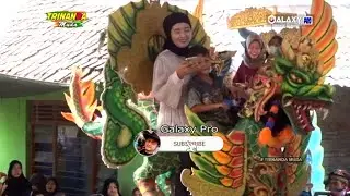 SALAH PILIH  | BUROK TRINANDA MUDA LIVE LIMBANGAN LOSARI BREBES | 04 -11- 2023