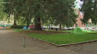 Seattle business groups urge park cleanup