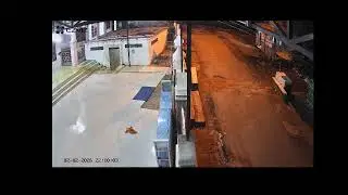 Live Stream cctv masjid