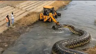 ‼️New JCB 3DX Eco in Mud Loading | Mahindra & New Holland Tractors with Trolley on Rough Tracks