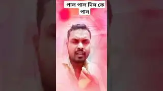 🔥 হিন্দি মুভি গান ভয়েস নিমাই 😀#shortsvideosongs #hindihitsong #charttopper @নিমাই