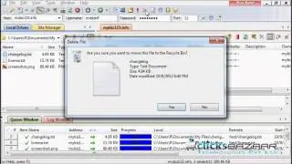 Uploading files using CuteFTP