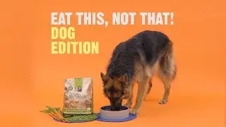 Eat This Not That: Dog Edition | Chewy