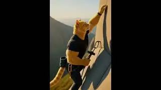 The yellow cat is a true climber. It climbs high mountain cliffs fearlessly, holding its paws 