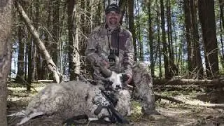 Sunrize Safaris Hunt with BCI Defense