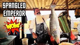 Big Size Spangled Emperor Fish Cutting Techniques | Knife Skills Unleashed!
