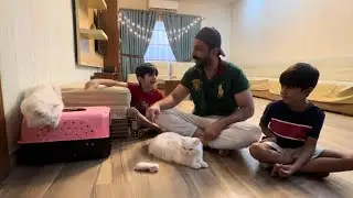 &ldquo; NEW ADDITION TO OUR FAMILY! 😸🐈🐱Baby Cat&rsquo;s First Vet  Visit with Kids&rdquo;