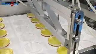 6 Line Petri Dish Filling Machine with Follow-up Filling System