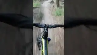 GIANT Talon 2 Hard Tail Having Fun On The Trails MTB
