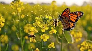 New Emotional Story | Golpo Writing | Motivational Story | Heart Touching Bangla Story 2026 v3