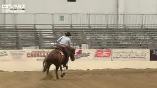 Dreams and Prizes Go-Round at the Italian Derby 2011.avi