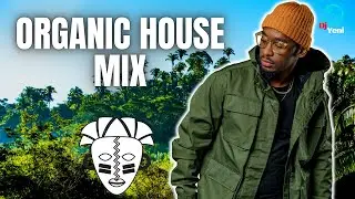 Organic House Afro House Mix 2022
