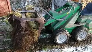 Pihaton tyhjennys. #pori #vuohitilakosket #maatalous #farming #farmlife