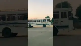 UOG Buses | University of Gujrat