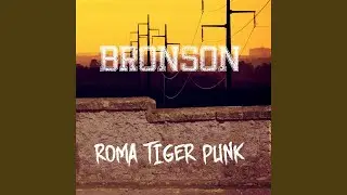 Roma Tiger Punk