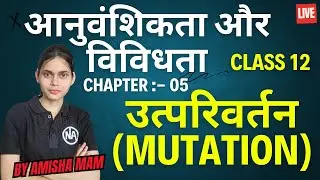 What is a Mutation? Types, Causes and Effects | Changes in DNA | Class 12 Biology