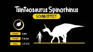 Tsintaosaurus Spinorhinus Sound Effect | 棘鼻青島龍 恐龍 吼叫 叫聲 動物 音效 (High Quality)