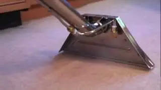 Carpet Cleaning - Carpet Cleaners in your Area | Call COIT 1-800-367-2648