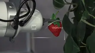 Robot fruit picker that uses AI to improve crop yields on display at MWC ++REPLAY++