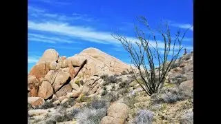Mastodon Peak Loop Hike , Joshua Tree National Park - Part 2