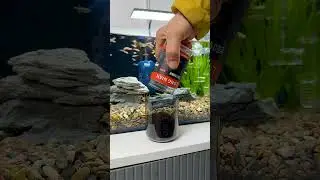 Awesome Storage Filters Aquarium🫧#trending #aquarium #diy #fishaquarium #fishtanksetup #fish #shorts