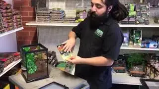 Complete Arboreal Tarantula Setup at LLLReptiles Oceanside Store!
