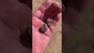 Finding Garnets #rockhound #garnet #crystals #gemstone #rockhounding #minerals #geology #california