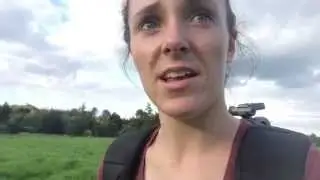 A little insight into life on the Ashdown Forest
