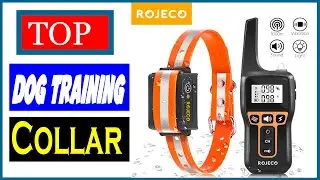 The 5 Best Dog Barking Devices
