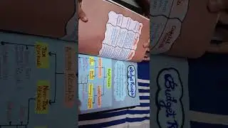 Complete class 12 economics project on government budget