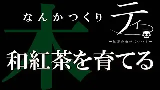 茶葉から作りティー【和紅茶】