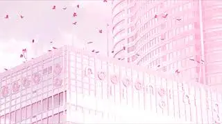 Matador - Sakura `