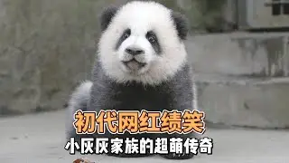 绩丽妈妈带着新崽小灰灰出外场，瞬间梦回当年为绩笑疯狂存图，存视频的日子
