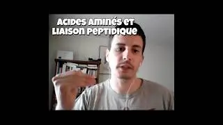 Comprendre les Acides Amin&eacute;s et la Liaison Peptidique, peptides, prot&eacute;ines - Biochimie Bio PASS LAS