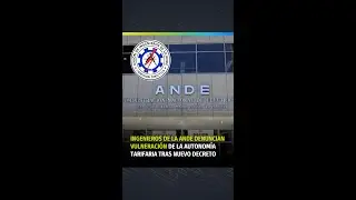 Ingenieros de la ANDE denuncian vulneración de la autonomía tarifaria tras nuevo decreto