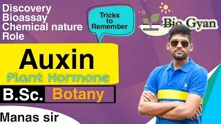 Auxin || Plant Hormone ||B.Sc Botany