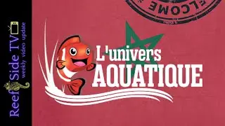L’univers aquatique Rabat