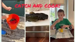 Catching and Cooking a Big Bullhead Catfish!