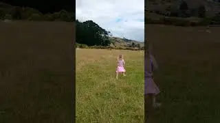 Catch sheep