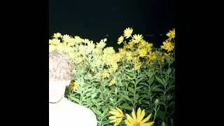 [FREE] 