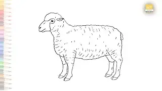 White Sheep drawing video | dibujo de oveja facil | How to draw A Sheep | easy drawing videos #easy