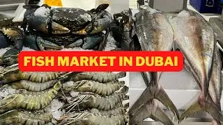 FISH MARKET IN DUBAI | WHOLESALE PRICE | FRESH FISH IN DUBAI | DUBAI VLOG #UAE #UAEMARKETBYZNH