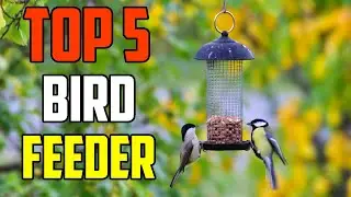 ✅BIRD FEEDER REVIEW: BEST BIRD FEEDER 2021 - Top 5 (buying Guide)