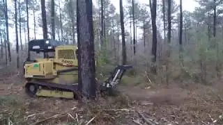 Georgia Land Care Solutions Atlanta Land Clearing Underbrush Removal