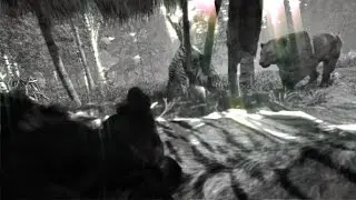 Far Cry Primal - Pure Play - Settings