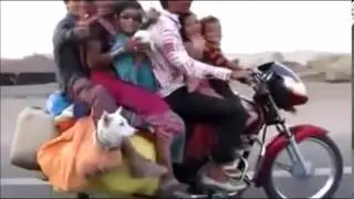 Compilation of Entire Families Riding on One Motorcycle